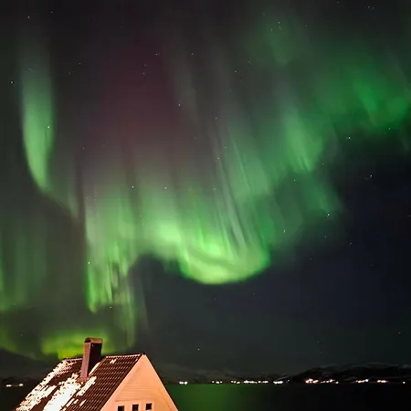 Kır Evi House By The Fjord - Sauna, Sea View & Northern Lights Tromsø