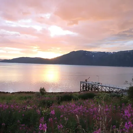House By The Fjord - Sauna, Sea View & Northern Lights Kır Evi