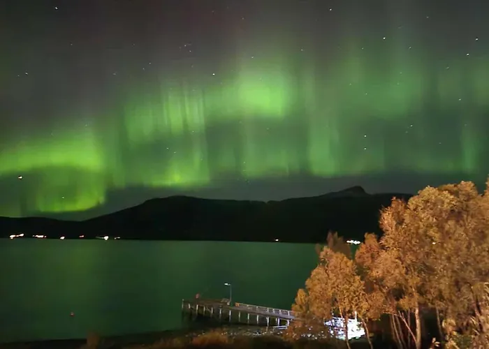 Nordic Sauna Retreat Kır Evi