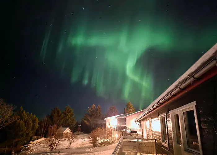 Nordic Sauna Retreat ترومسو